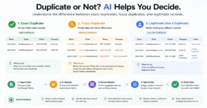 Google Sheets workflow showing exact duplicates, fuzzy matches, and legitimate records